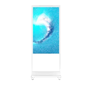Double-Sided High-Brightness Window Display